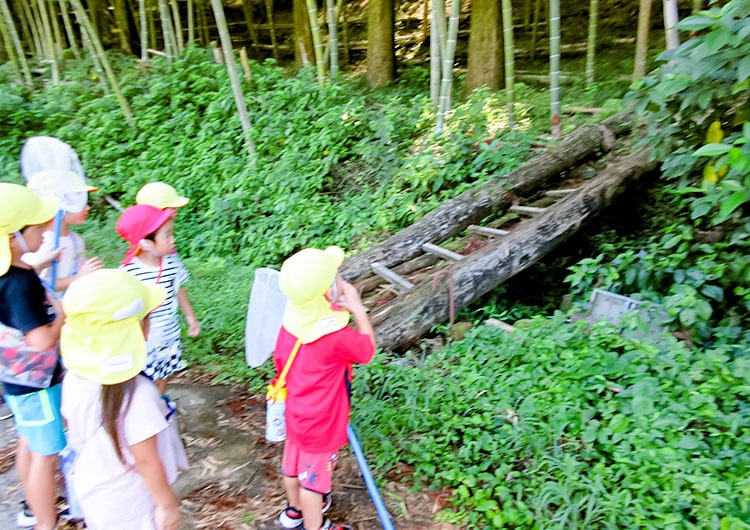 日々のこどもたちの様子