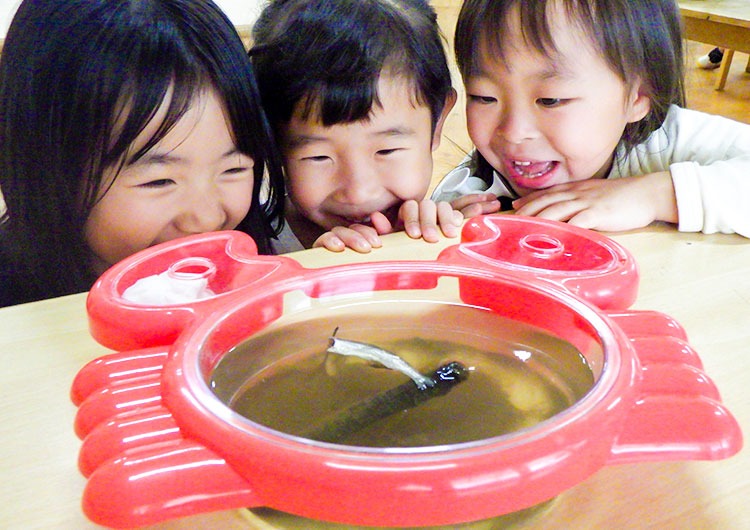 日々のこどもたちの様子